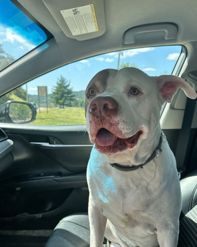 Copper Profile Photo