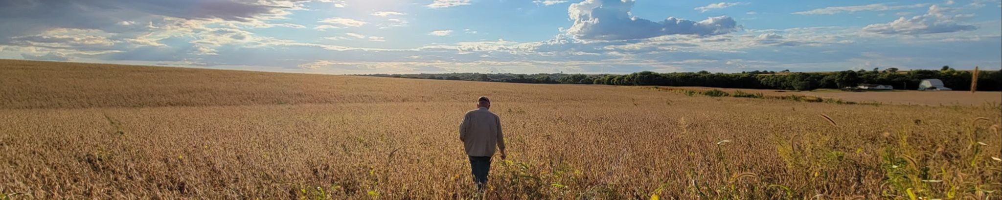 Cover for Kenneth Albert Fahn's Obituary