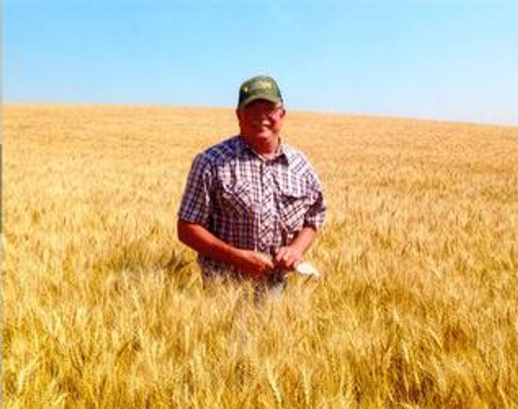 Kelly Erdmann Profile Photo