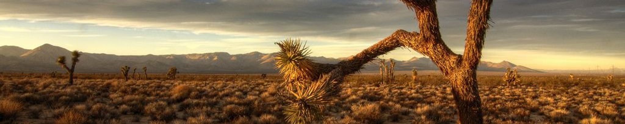 Cover for Jim Kight's Obituary