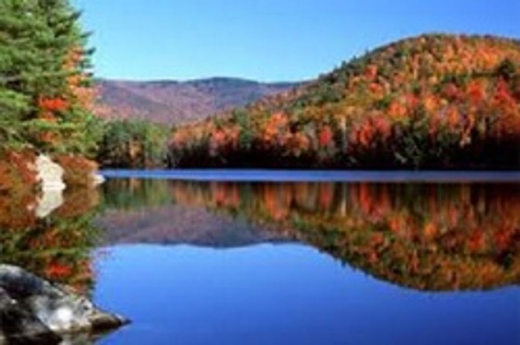 Jean Hayes Profile Photo