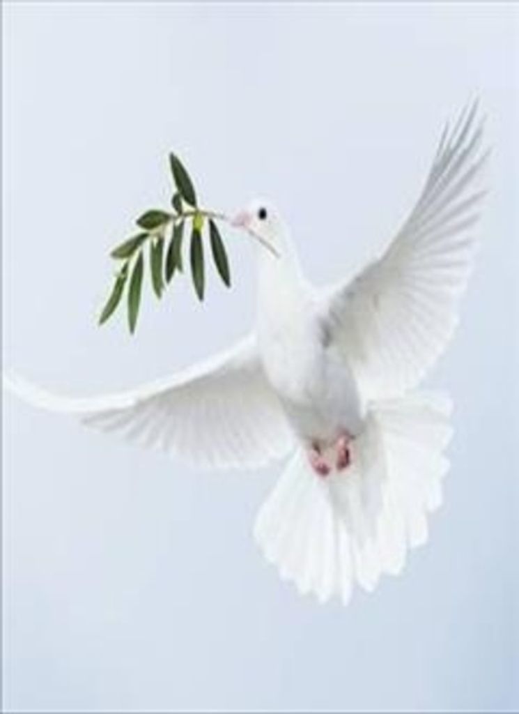 Aleshia Archie Profile Photo