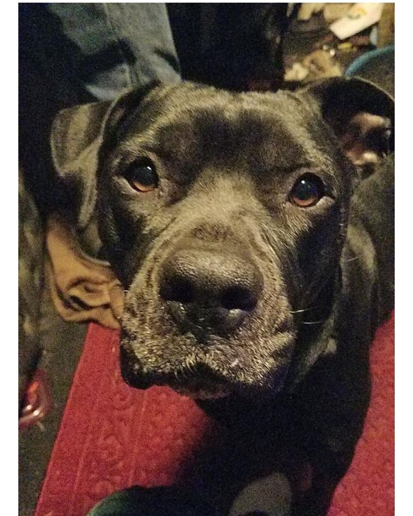 Gunny "Punk" Dowalter