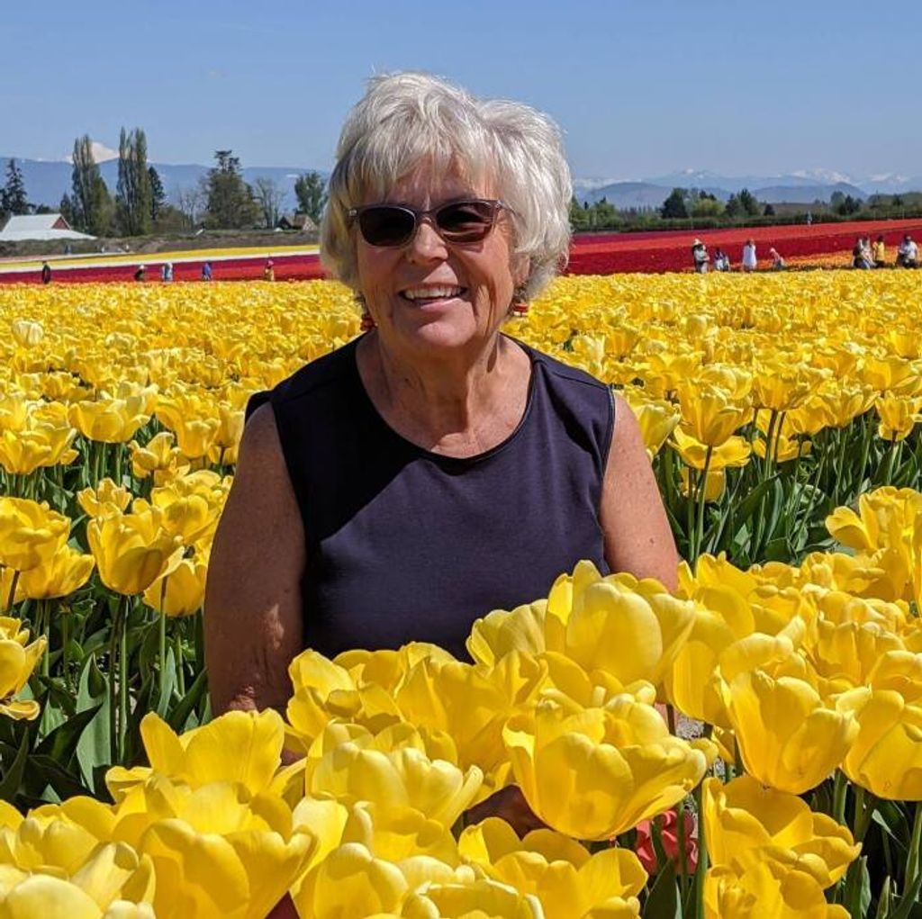 Cheri Elaine (Ten Kley) Johnson