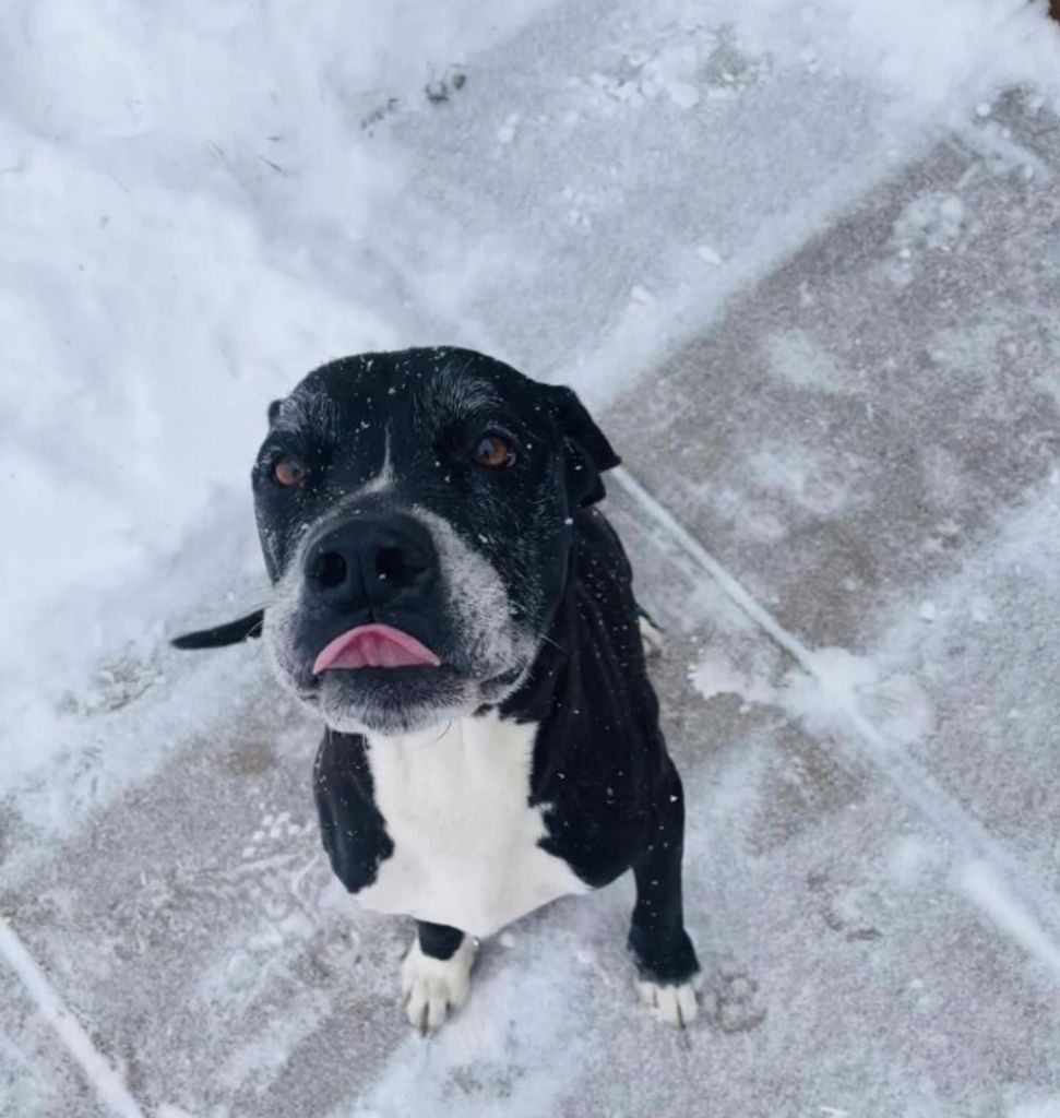Damu . Profile Photo