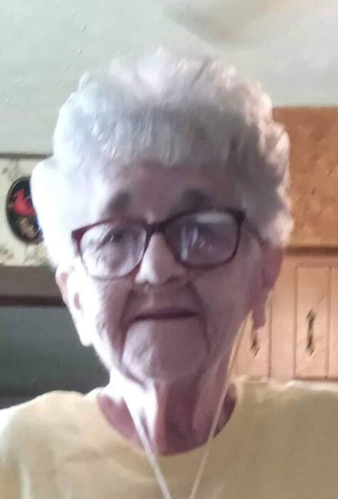 Joan Lynne (Millis)  Noce Profile Photo