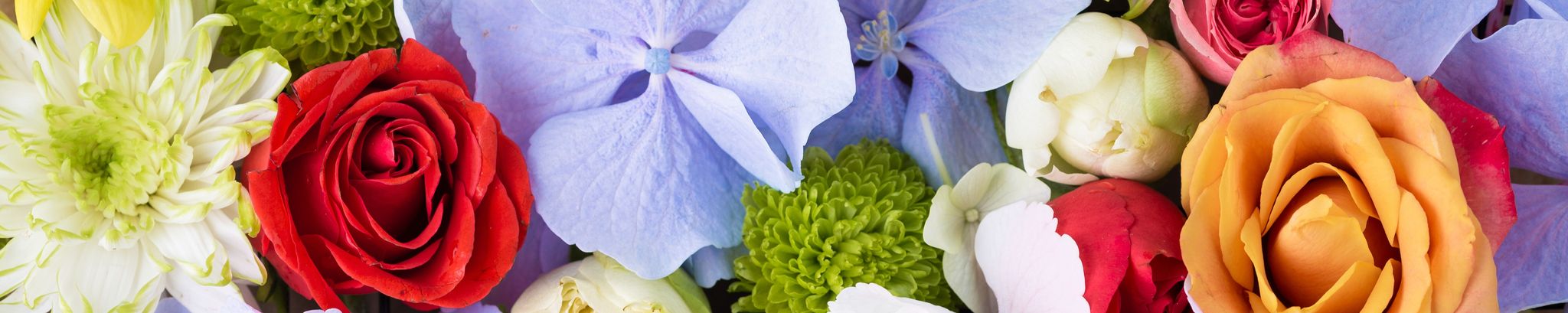 Cover photo for Anita Miera's Obituary