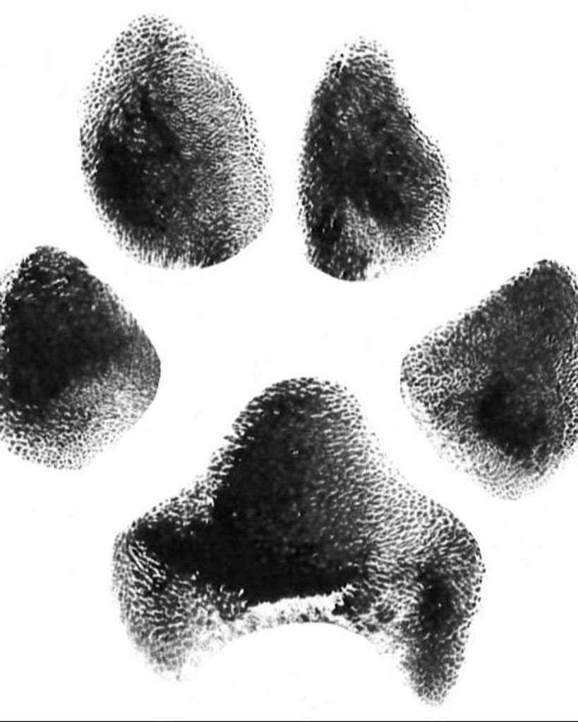 Lola Caldwell Profile Photo