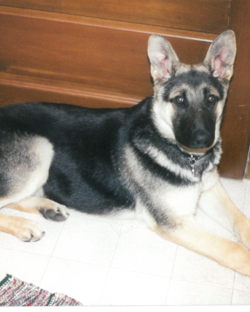 Freddie Profile Photo