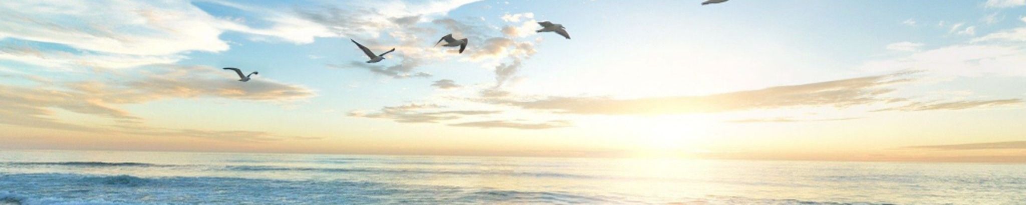 Cover for Cynthia Jones Mullinax's Obituary