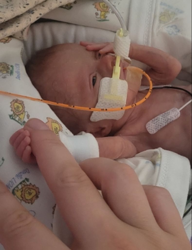 Valerie Nancy Volbrecht