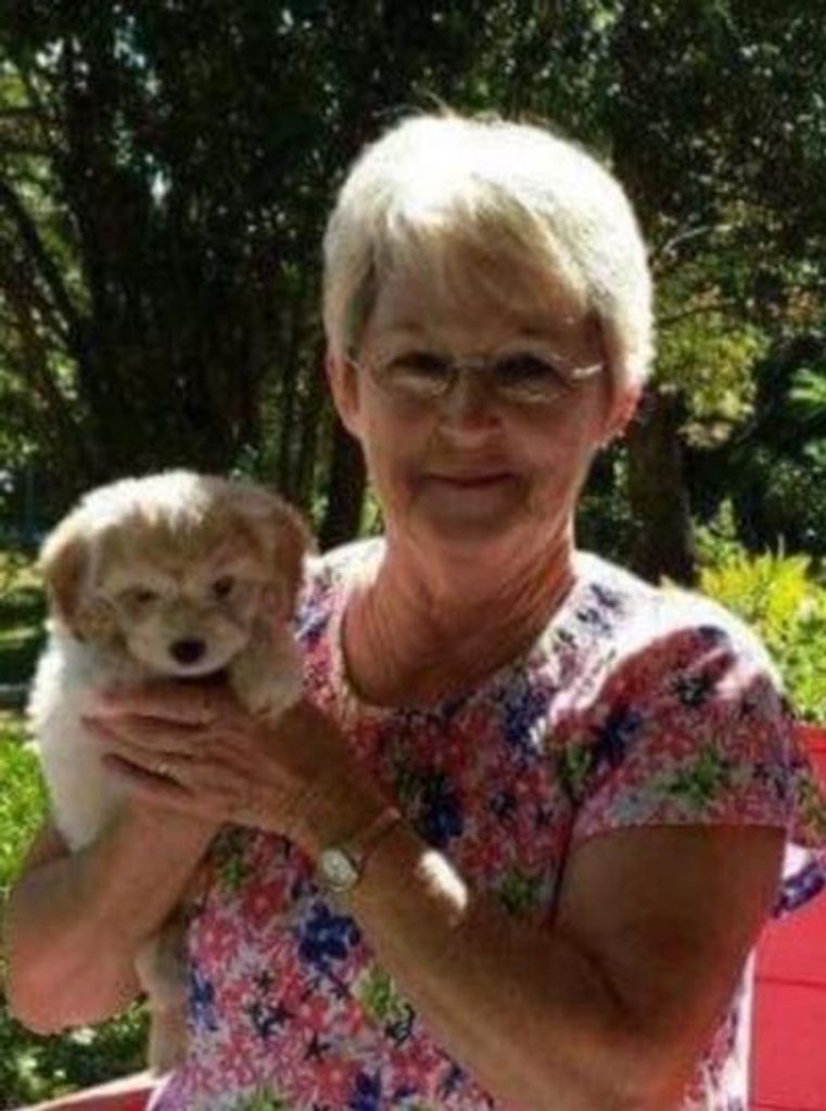 Carol Mccoy Profile Photo