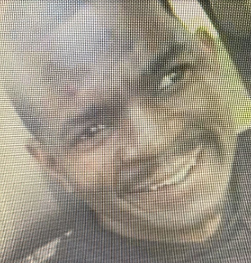 Johnnie Junior Brown Profile Photo