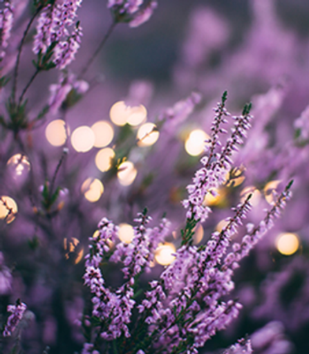 Leona Marie Nowlin Profile Photo