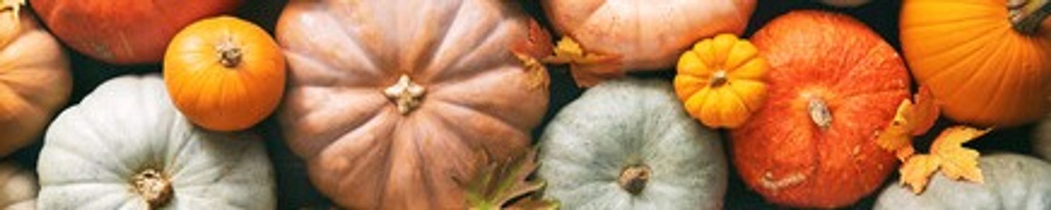 Cover for Dawne Lee Stokes's Obituary