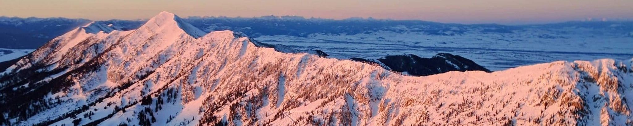 Cover for John McDonnell Harkin's Obituary