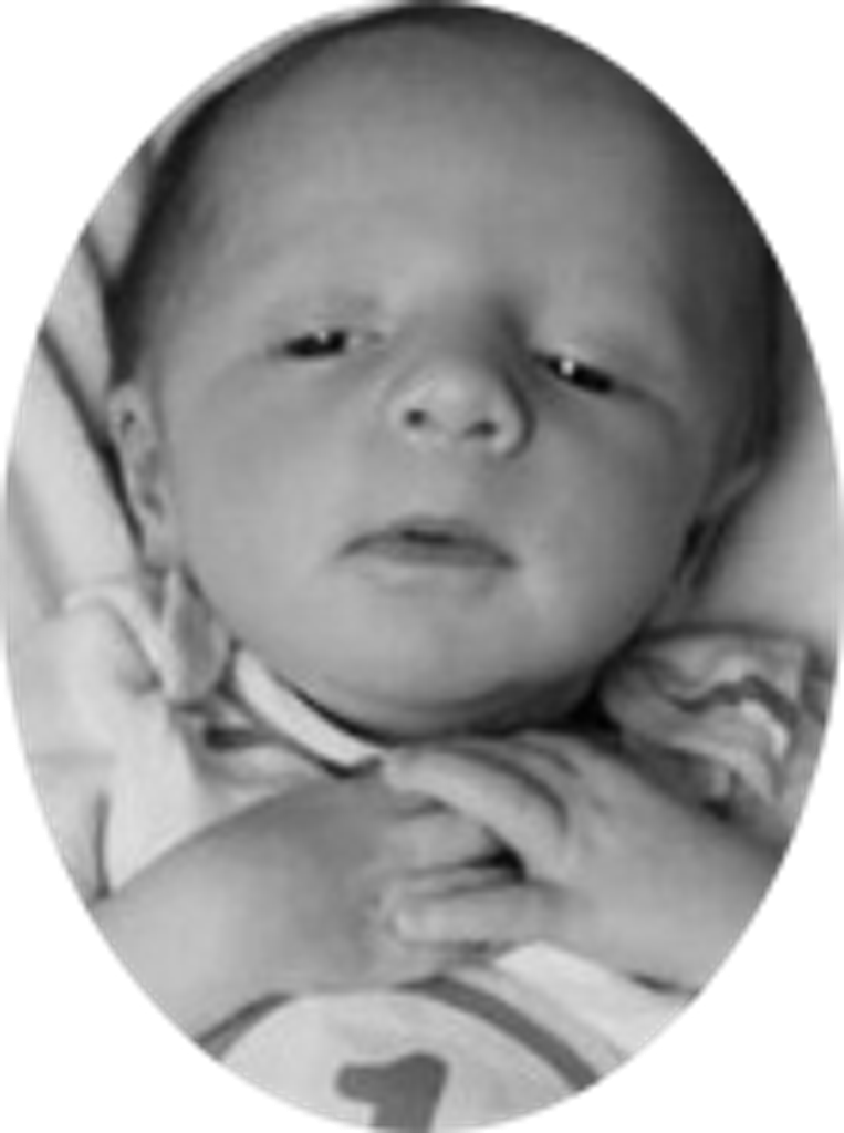 Zayden Vote