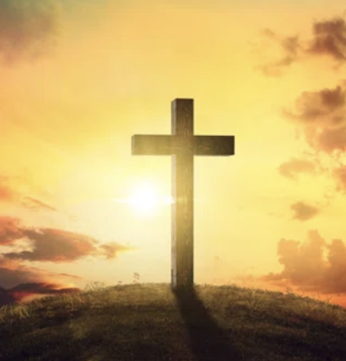 Anthony John Hofacker's obituary image