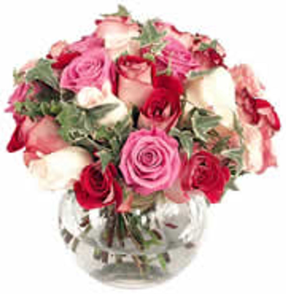 Josephine Mae Schneider