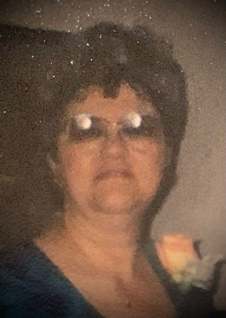 Carol Johnson Profile Photo