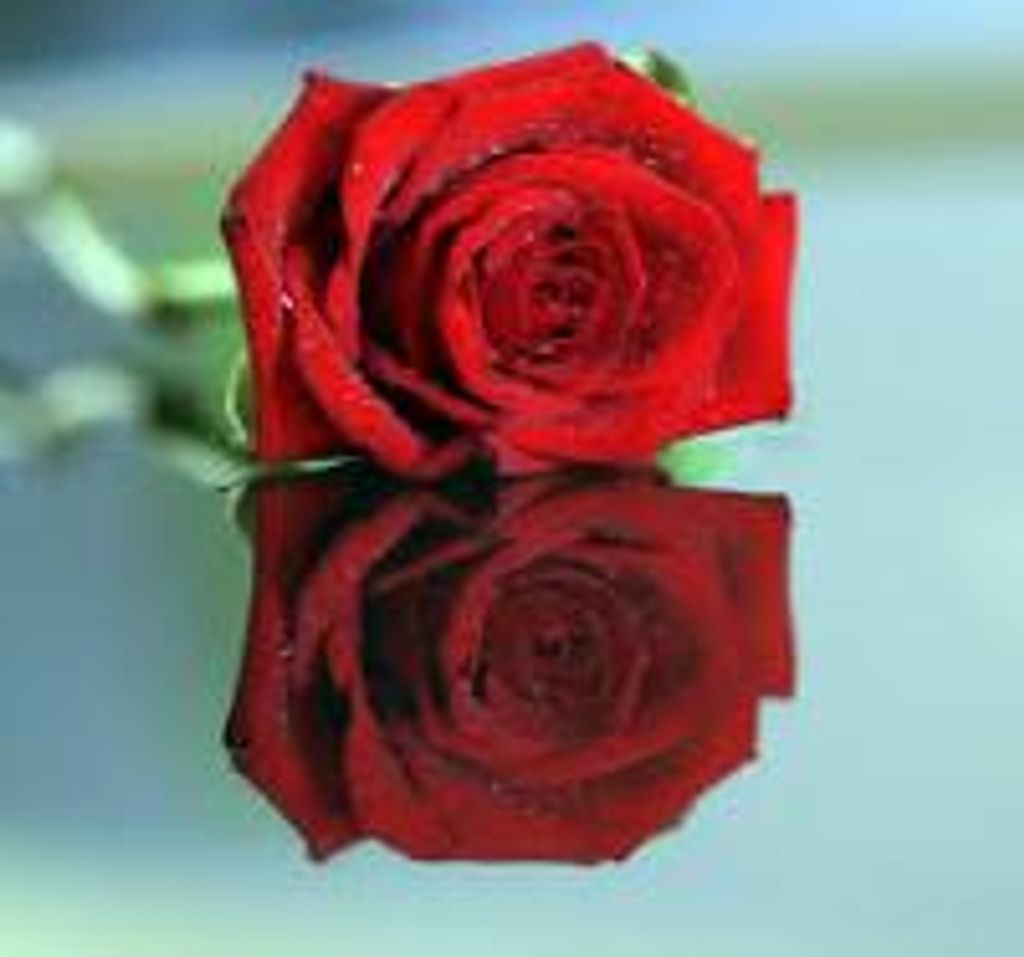 Patricia Ann Kennedy