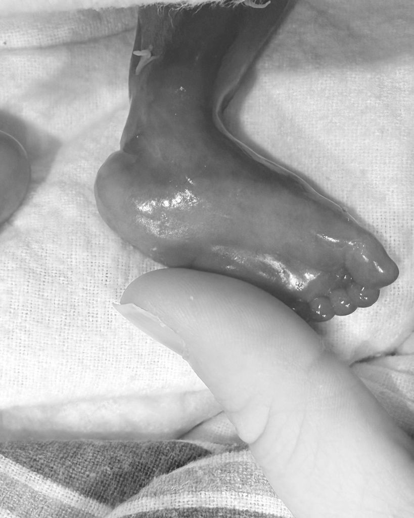 Colson Truett Stagner Profile Photo