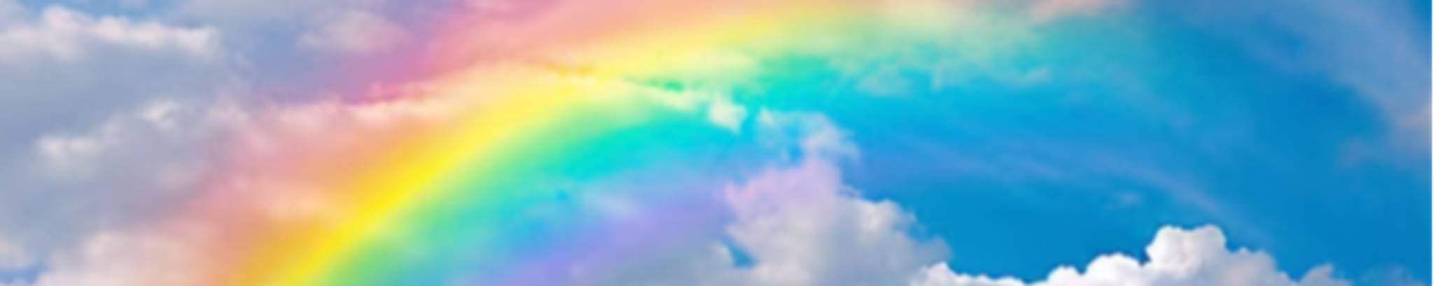 Cover for Sofia E. Treml's Obituary