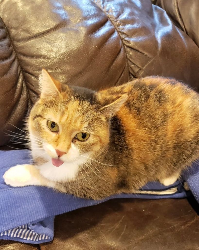 Sissy Scales Profile Photo