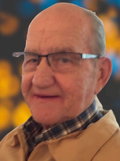 Stephen E. Vargo Profile Photo