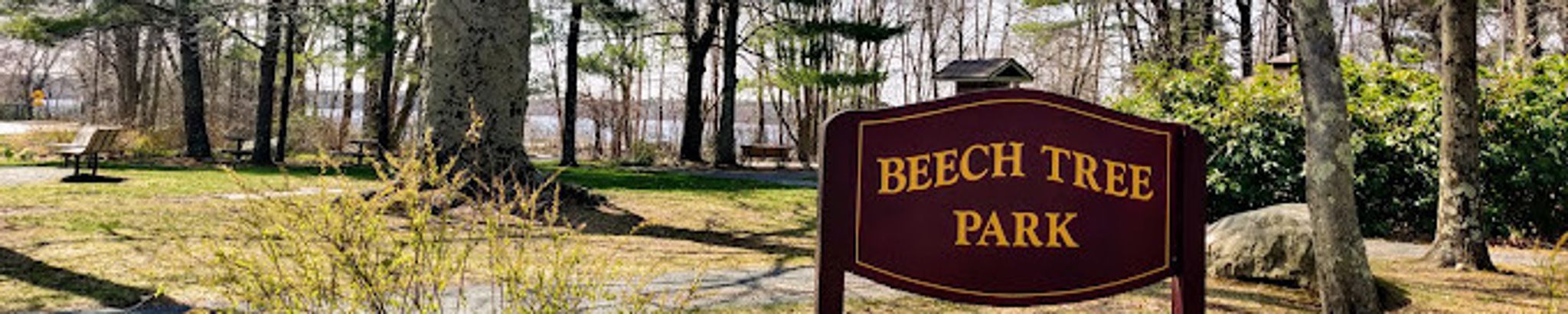 Cover for Marie Elizabeth Cuneo's Obituary