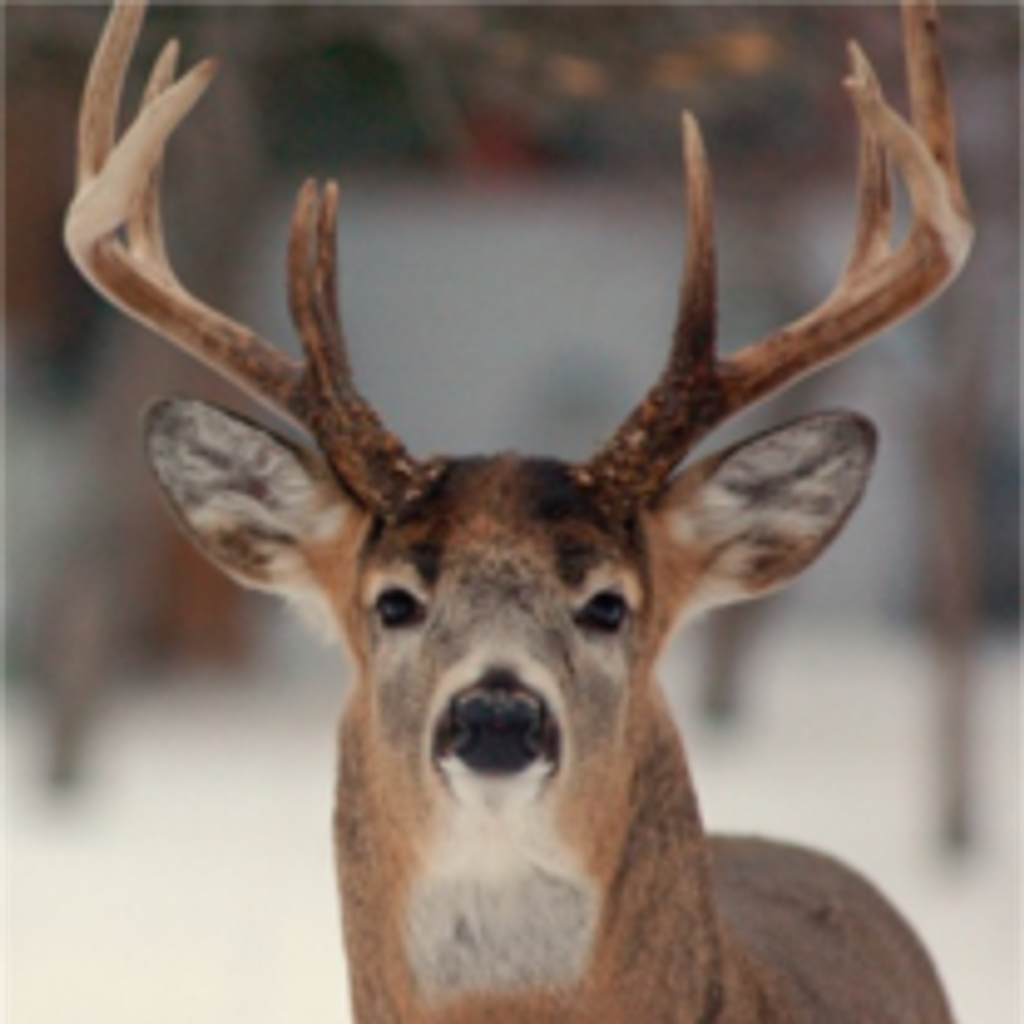 Kenneth S. Parker Profile Photo