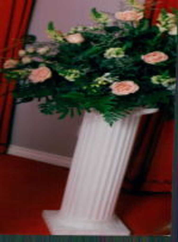Flaminia Cioci