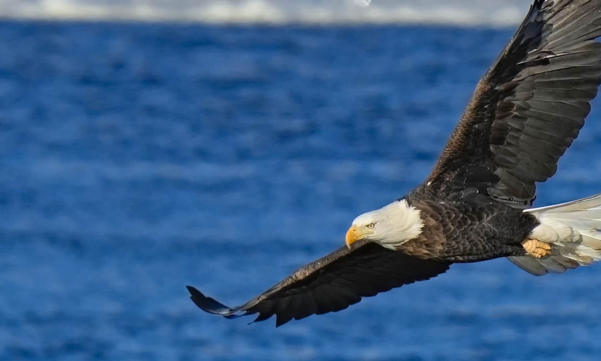 Cover for Barbara Ann Tousey's Obituary