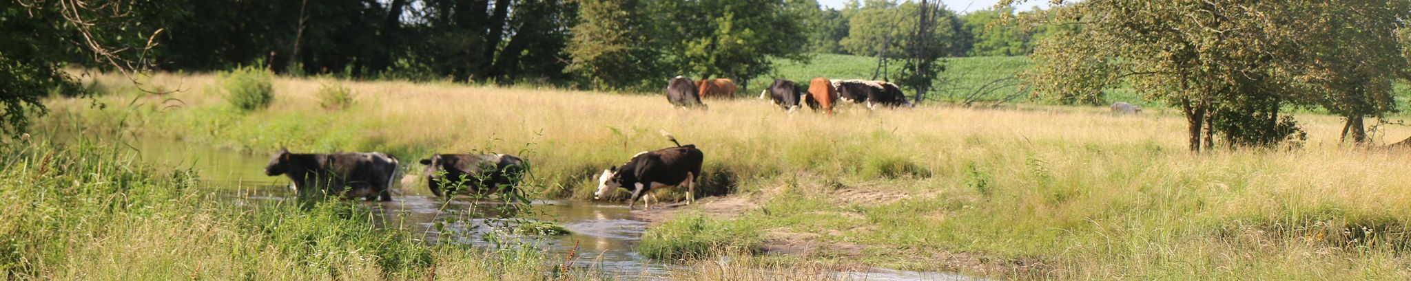 Cover for Wilbur Elmer Kehrli's Obituary