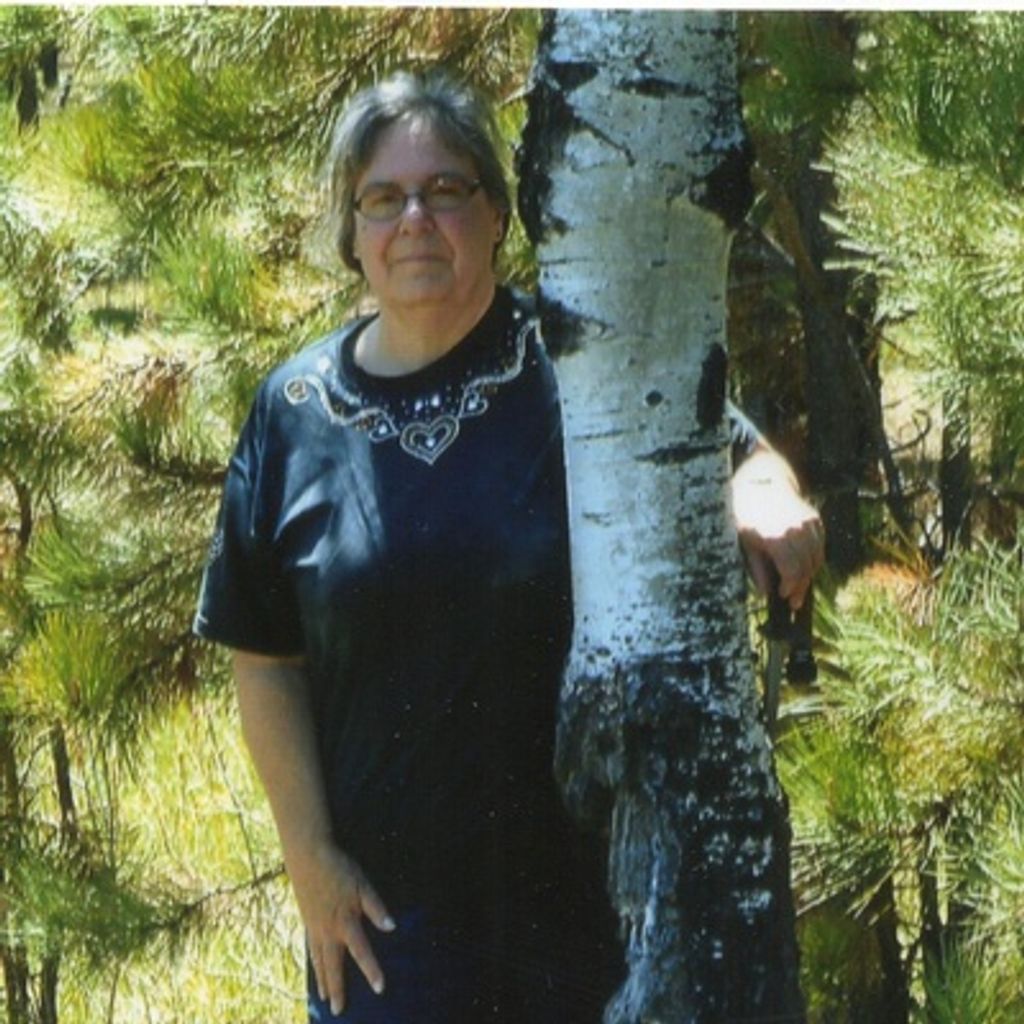 Laurie Ann Everton - Bozzetti