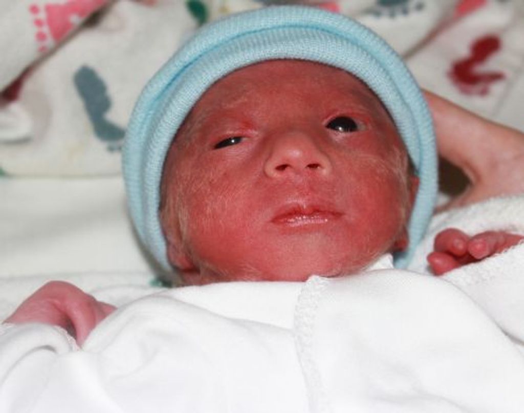 Noah Ross Holmes Profile Photo
