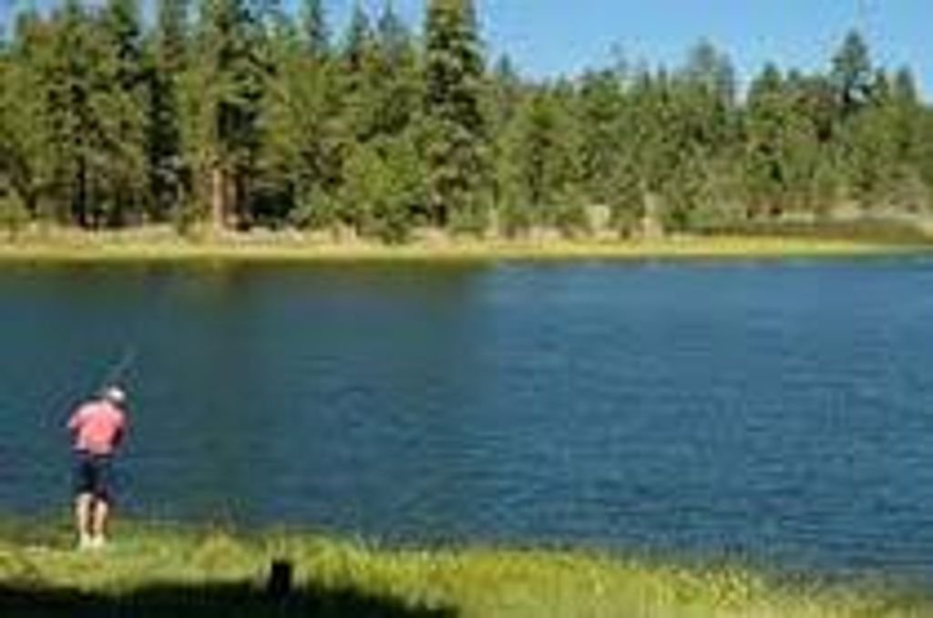 James Eshelby Profile Photo