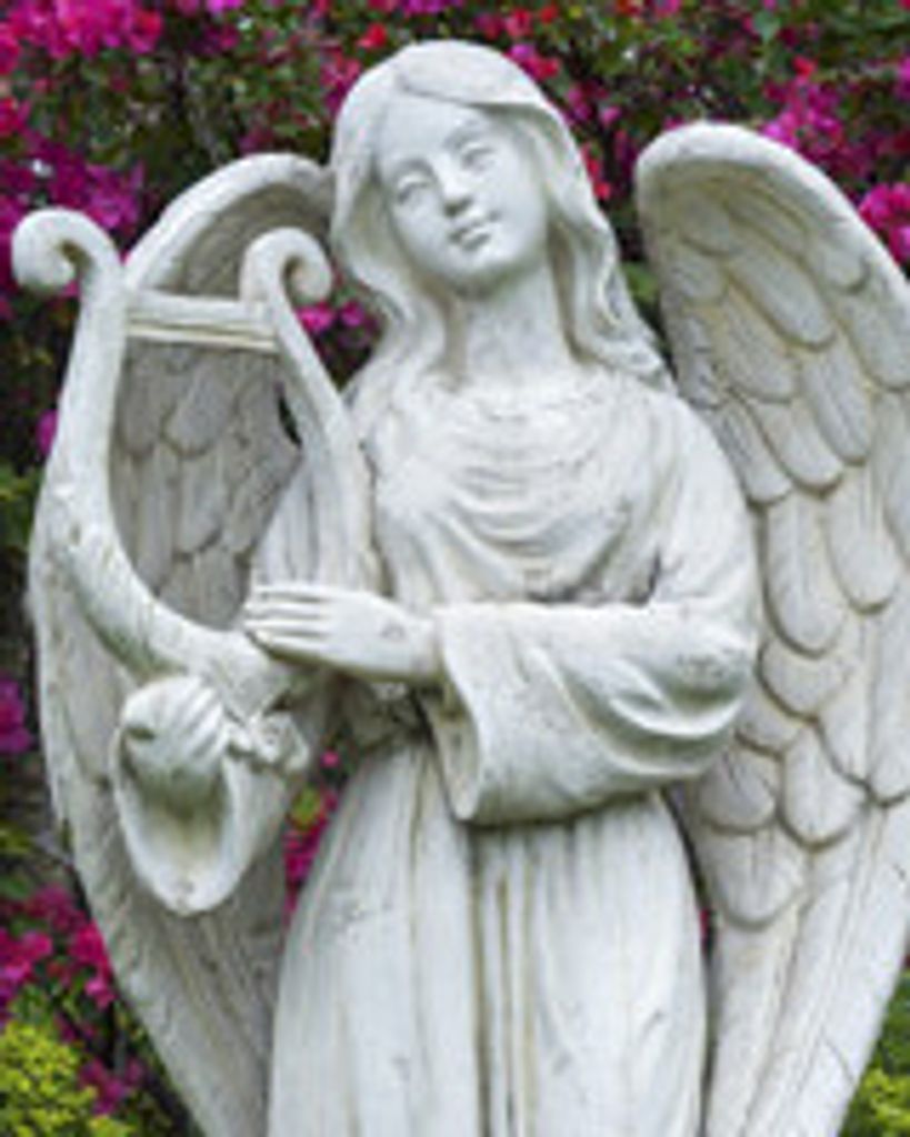 Carolyn E Tunstall Profile Photo