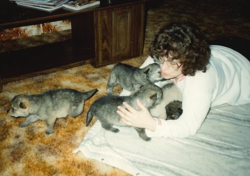 Patricia Louise (Opple)  Coffing photo gallery thumbnail 24 of 87