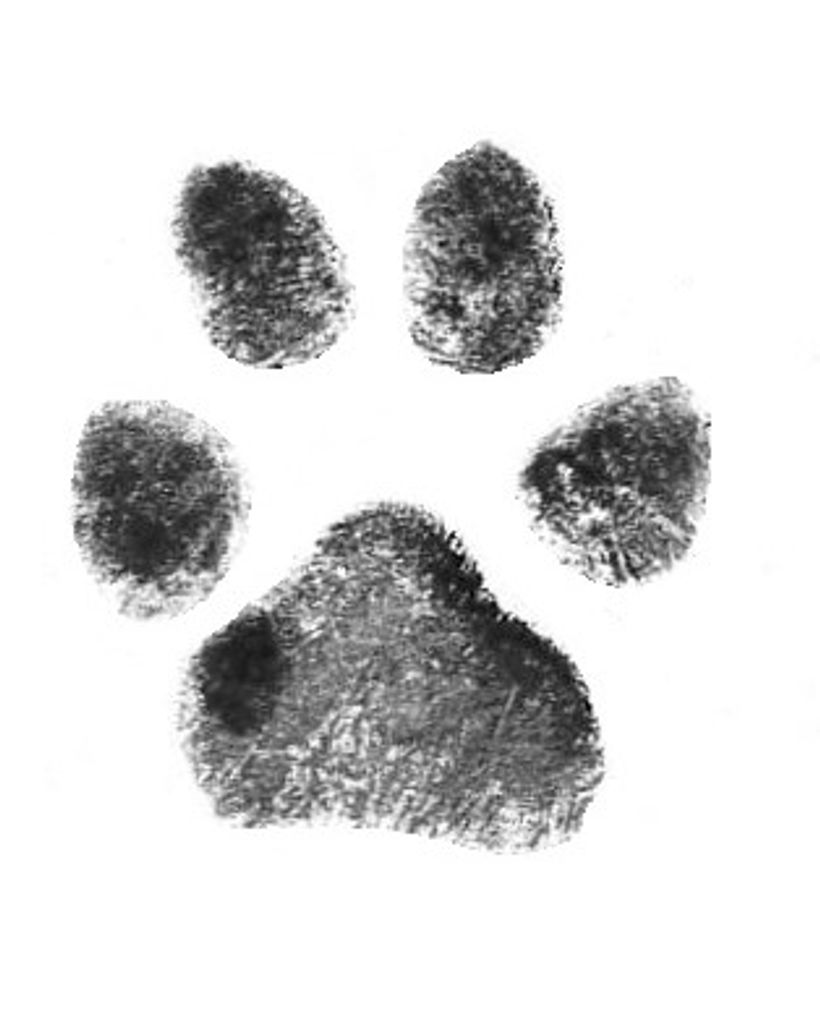 Myah Kurth Profile Photo