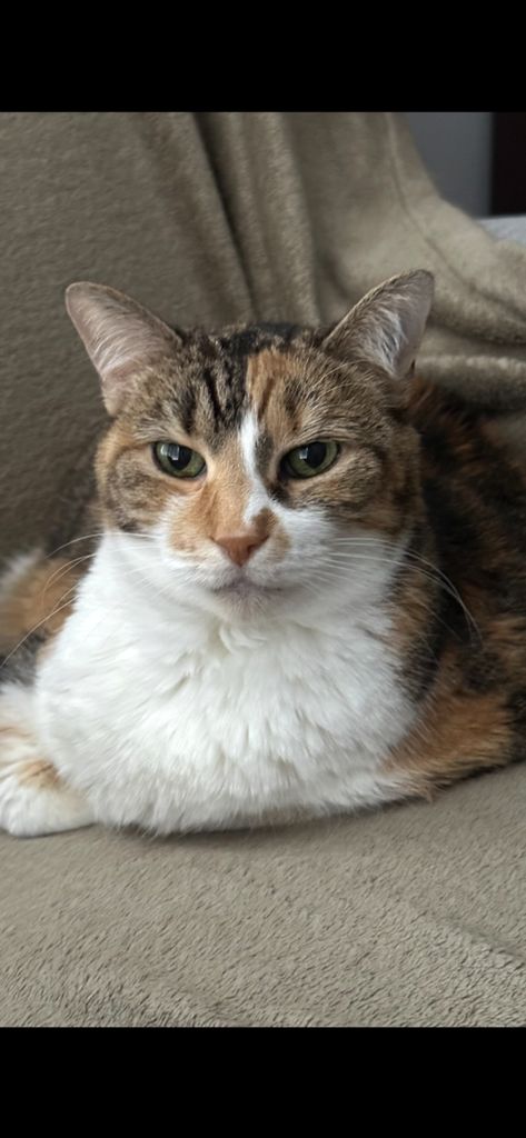 Zoey Clower Profile Photo
