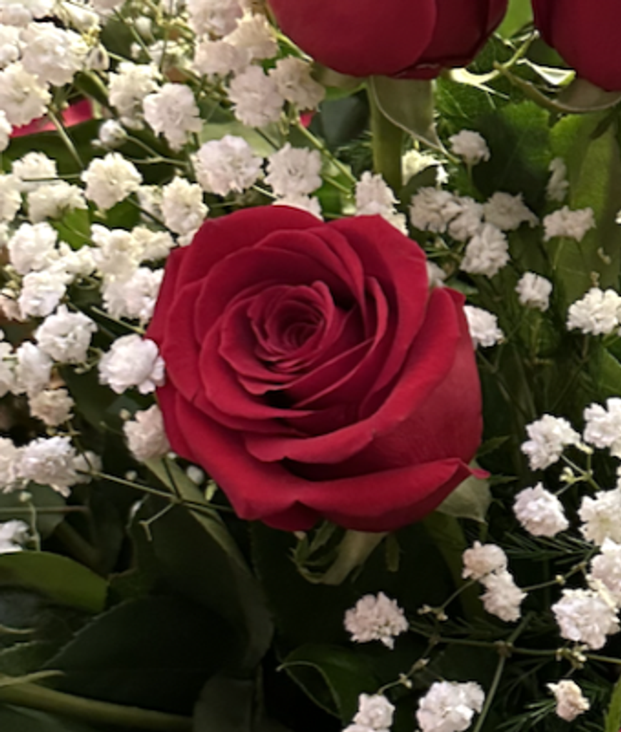 Barbara J. Snider Profile Photo