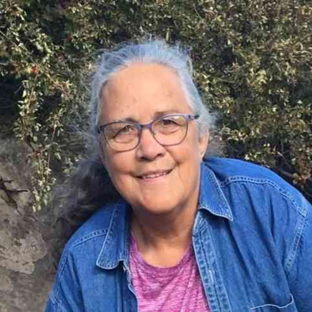 PATRICIA CLARE COOK Profile Photo