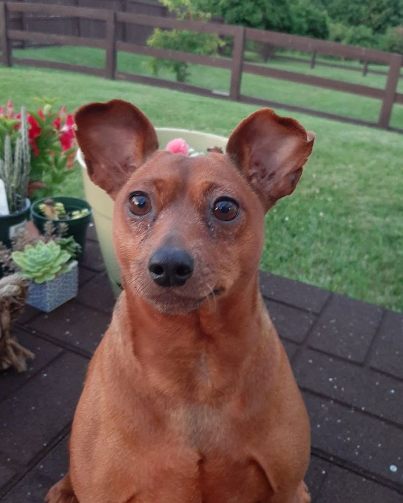 Nala Paul Profile Photo