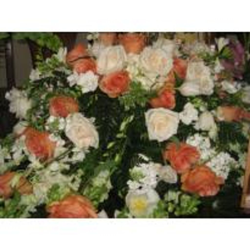 Cyrilla Vincent D’Silva