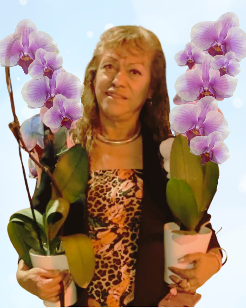 Olga Lidia Alonso Fernandez Profile Photo