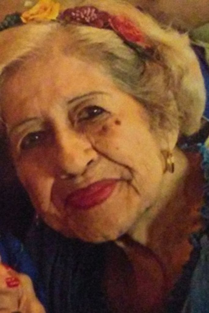 Virginia Hernandez Garcia