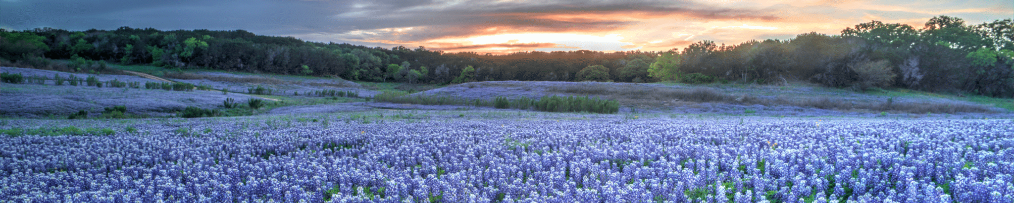 Cover photo for Sandy Powers's Obituary