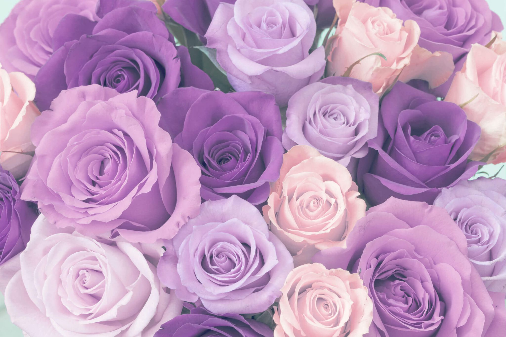 Cover photo for Fawn Colleen Walker's Obituary