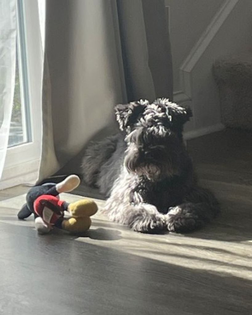 Jade Worriels Profile Photo